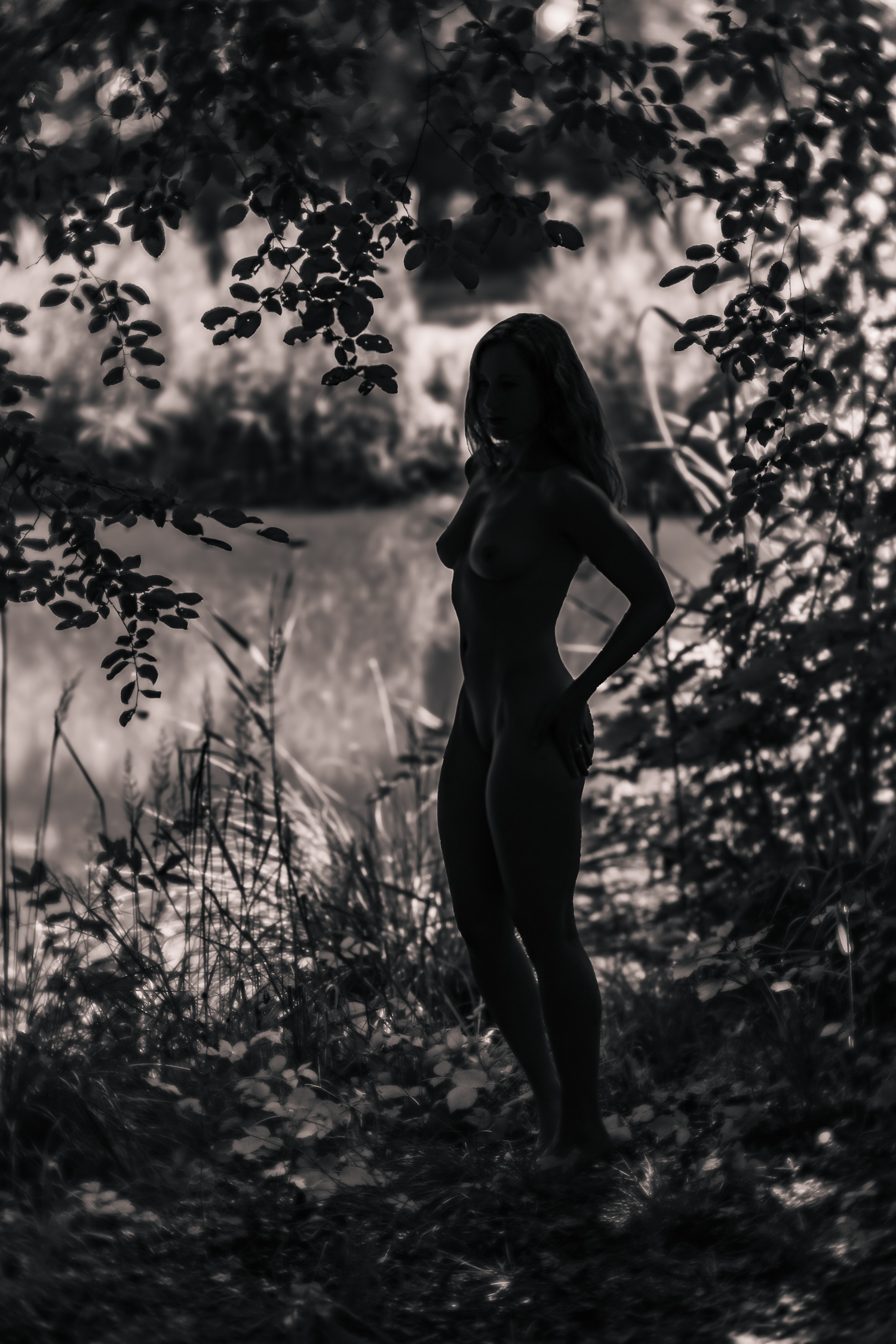 Akt im Schloss Blumenthal    2273